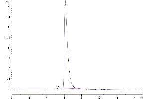 Size-exclusion chromatography-High Pressure Liquid Chromatography (SEC-HPLC) image for Poliovirus Receptor-Related 1 (Herpesvirus Entry Mediator C) (PVRL1) (AA 31-334) protein (His-Avi Tag) (ABIN7275307)