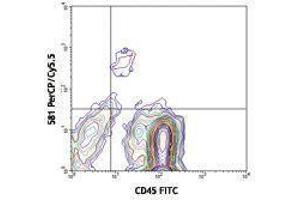 Flow Cytometry (FACS) image for anti-CD34 (CD34) antibody (PerCP-Cy5.5) (ABIN2660360) (CD34 Antikörper  (PerCP-Cy5.5))