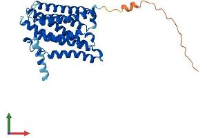 Protein Structure (PS) image for ELOVL Fatty Acid Elongase 2 (ELOVL2) (AA 1-292) protein (His tag) (ABIN7565117)