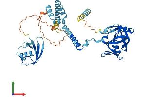 Protein Structure (PS) image for DNA-Damage Inducible 1 Homolog 2 (DDI2) (AA 1-399) protein (His tag) (ABIN7561898)