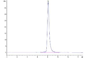 Size-exclusion chromatography-High Pressure Liquid Chromatography (SEC-HPLC) image for Fibroblast Growth Factor Receptor 4 (FGFR4) (AA 22-369) protein (His tag) (ABIN7274612)