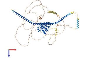 TRAF3IP1 Protein (AA 1-691) (His tag)