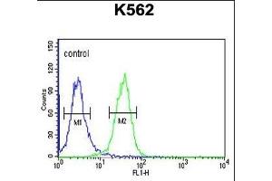 PGP Antibody (N-term) (ABIN653810 and ABIN2843085) flow cytometric analysis of K562 cells (right histogram) compared to a negative control cell (left histogram).