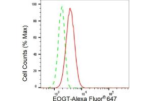 Flow cytometric analysis of EOGT expression in HT- cells using EOGT antibody (ABIN7798081), 1:2,000). (Rekombinanter AER61 Antikörper)