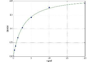 A typical standard curve (Retinoid X Receptor gamma ELISA Kit)