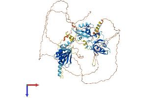 APBA2 Protein (AA 1-750) (His tag)