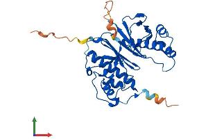 Protein Structure (PS) image for Aminoadipate-Semialdehyde Dehydrogenase-phosphopantetheinyl Transferase (AASDHPPT) (AA 1-309) protein (His tag) (ABIN7560539)