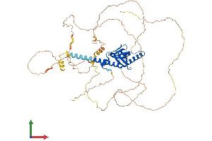 Protein Structure (PS) image for Disabled Homolog 1 (Drosophila) (DAB1) (AA 1-588) protein (His tag) (ABIN7546984)