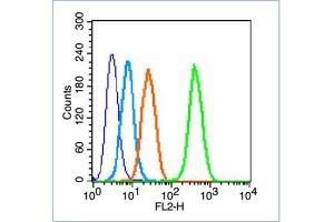 HL-60 cells probed with Insulin Receptor Beta Antibody, unconjugated  at 1:100 dilution for 30 minutes compared to control cells (blue) and isotype control (orange) (ISR-beta Antikörper  (AA 1001-1100))