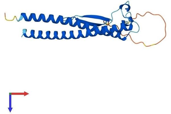 CCDC115 Protein (AA 1-180) (His tag)