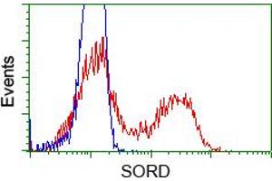 Flow cytometric analysis of Hela cells, using anti-SORD antibody (ABIN2453677), (Red) compared to a nonspecific negative control antibody (TA50011) (Blue). (SORD Antikörper)