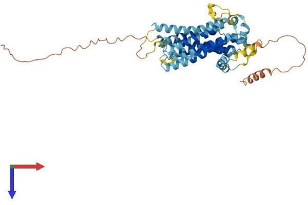 TMEM184B Protein (AA 1-407) (His tag)