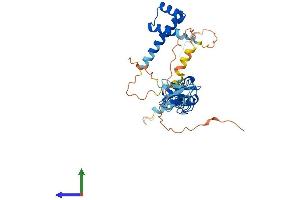 Protein Structure (PS) image for ISL LIM Homeobox 1 (ISL1) (AA 1-349) protein (His tag) (ABIN7556585)