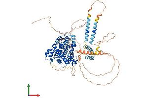 AlphaFold protein structure predicition of Human Recombinant PDE4C Protein, UniprotID Q08493