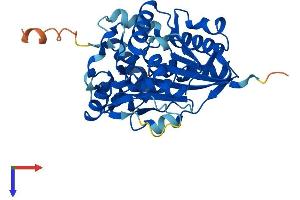 NSUN3 Protein (AA 1-340) (His tag)