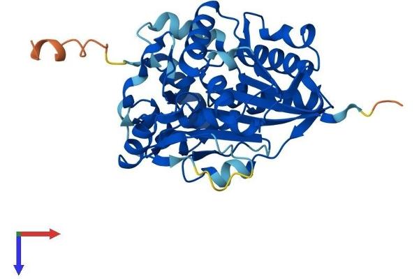 NSUN3 Protein (AA 1-340) (His tag)