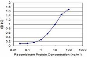 ELISA image for anti-Cyclin-Dependent Kinase 5, Regulatory Subunit 1 (p35) (CDK5R1) (AA 208-307) antibody (ABIN563839)