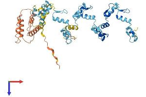 AlphaFold protein structure predicition of Human Recombinant ZNF716 Protein, UniprotID A6NP11