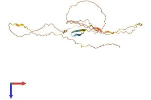 Family with Sequence Similarity 220, Member A (FAM220A) (AA 1-260) protein (His tag)