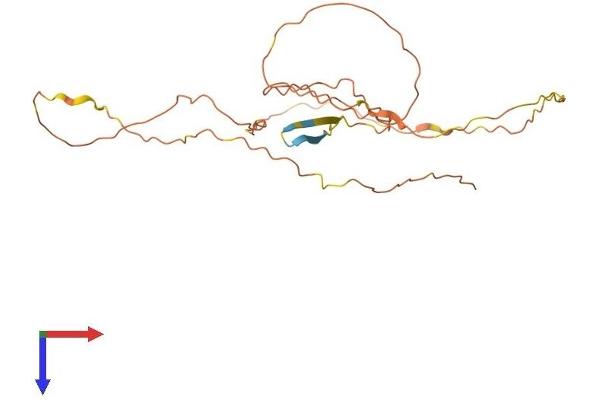 Family with Sequence Similarity 220, Member A (FAM220A) (AA 1-260) protein (His tag)