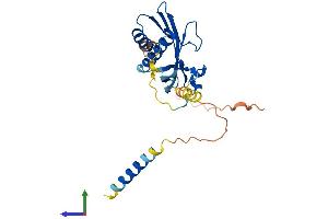 AlphaFold protein structure predicition of Mouse Recombinant Rtp1 Protein, UniprotID Q8C8C1