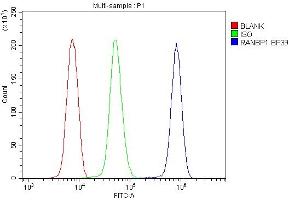Flow Cytometry analysis of U937 cells using anti-RanBP1 antibody (ABIN5518868). (RANBP1 Antikörper  (AA 2-201))