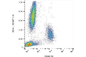 Flow cytometry analysis (surface staining) of human peripheral blood cells with anti-CD86 (BU63) PE. (CD86 Antikörper  (PE))