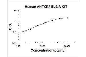 Anthrax Toxin Receptor 2 (ANTXR2) ELISA Kit