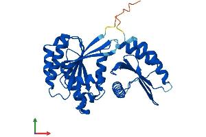 Protein Structure (PS) image for Ras-Related GTP Binding A (RRAGA) (AA 1-313) protein (His tag) (ABIN7551538)