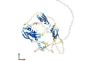 Protein Structure (PS) image for Double-stranded RNA-binding protein Staufen homolog 2 (STAU2) (AA 1-570) protein (His tag) (ABIN7546370)