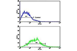 Flow cytometric analysis of MCF-7 cells using CDH13 polyclonal antibody (bottom histogram) compared to a negative control cell (top histogram).