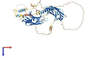 SYT6 Protein (AA 1-511) (His tag)