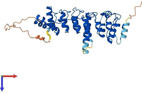 NFKBID Protein (AA 1-327) (His tag)
