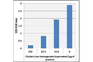 Cholic Acid Levels in Liver. (Cholic Acid ELISA Kit)