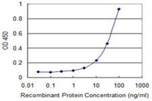 Detection limit for recombinant GST tagged ROR1 is 1 ng/ml as a capture antibody. (ROR1 Antikörper  (AA 294-393))