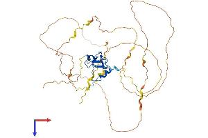 PYGO1 Protein (AA 1-419) (His tag)