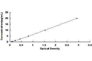 Typical standard curve (Attractin ELISA Kit)