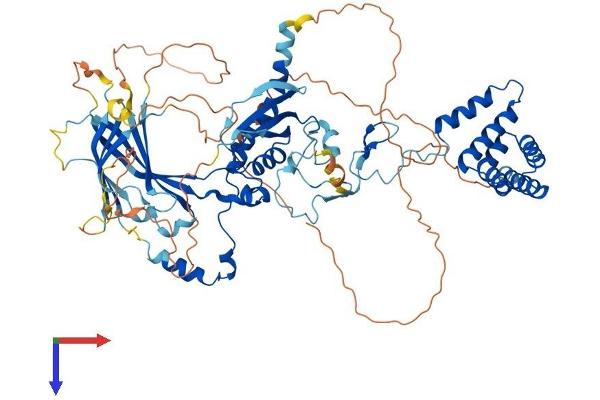 SUZ12 Protein (AA 1-739) (His tag)