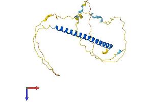 INO80E Protein (AA 1-244) (His tag)