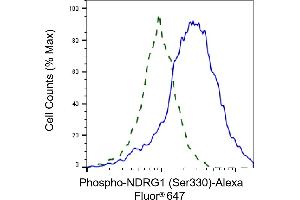 Validation of NDRG1 knockdown using flow cytometry. (Rekombinanter NDRG1 Antikörper  (pSer330))