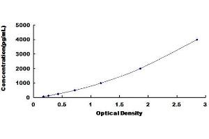Secreted Frizzled-Related Protein 4 (SFRP4) ELISA Kit