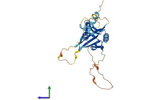 Protein Structure (PS) image for Chromosome 15 Open Reading Frame 60 (C15ORF60) (AA 1-266) protein (His tag) (ABIN7551344)