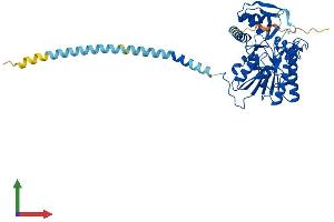 Protein Structure (PS) image for UDP-Glucuronate Decarboxylase 1 (UXS1) (AA 1-420) protein (His tag) (ABIN7545024)