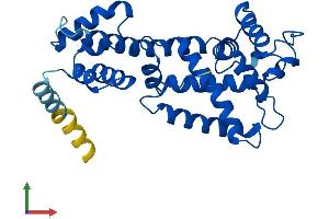 Protein Structure (PS) image for ELMO/CED-12 Domain Containing 2 (ELMOD2) (AA 1-293) protein (His tag) (ABIN7558550)