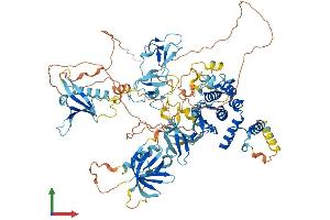 Protein Structure (PS) image for Protein Kinase D1 (PRKD1) (AA 1-918) protein (His tag) (ABIN7563942)
