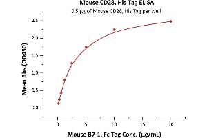 Immobilized Mouse CD28, His Tag (ABIN2870718,ABIN2870719) at 5 μg/mL (100 μL/well) can bind Mouse B7-1, Fc Tag (ABIN2870712,ABIN2870713) with a linear range of 0.