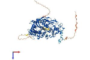 TRMT1 Protein (AA 1-659) (His tag)