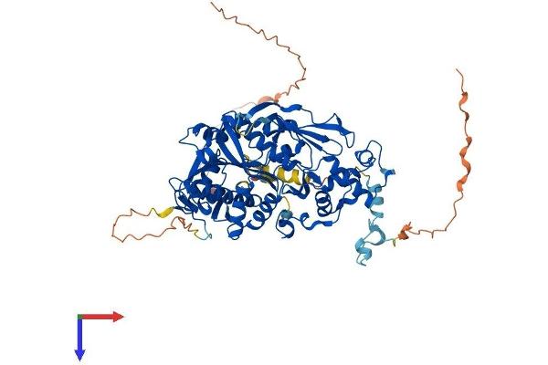 TRMT1 Protein (AA 1-659) (His tag)