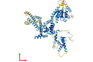 AlphaFold protein structure predicition of Mouse Recombinant Orc3 Protein, UniprotID Q9JK30