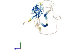 AlphaFold protein structure predicition of Mouse Recombinant Rasef Protein, UniprotID Q5RI75